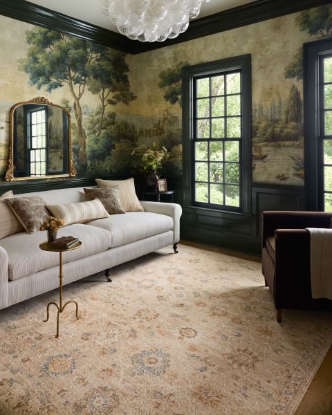 Chris Loves Julia X Loloi Palma PLM-11 Natural / Multi