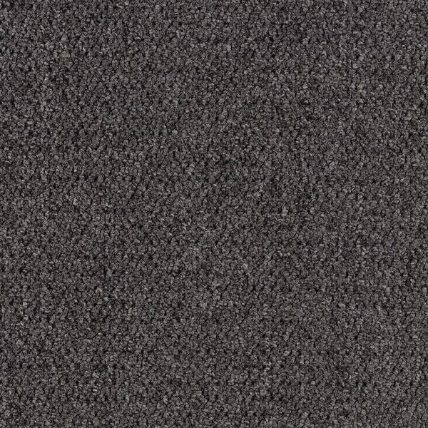 Mohawk Scholarship 28 Storm Gray Collection