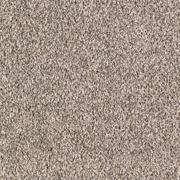 Mohawk Rustic Revival Seashell Collection