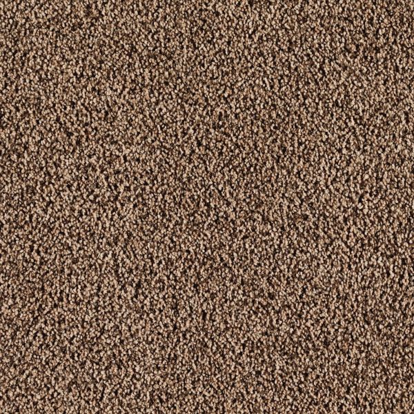 Mohawk Casa Bella Spicy Hue Collection