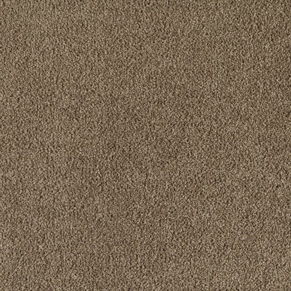 Mohawk Indescribable Earth Friendly Collection