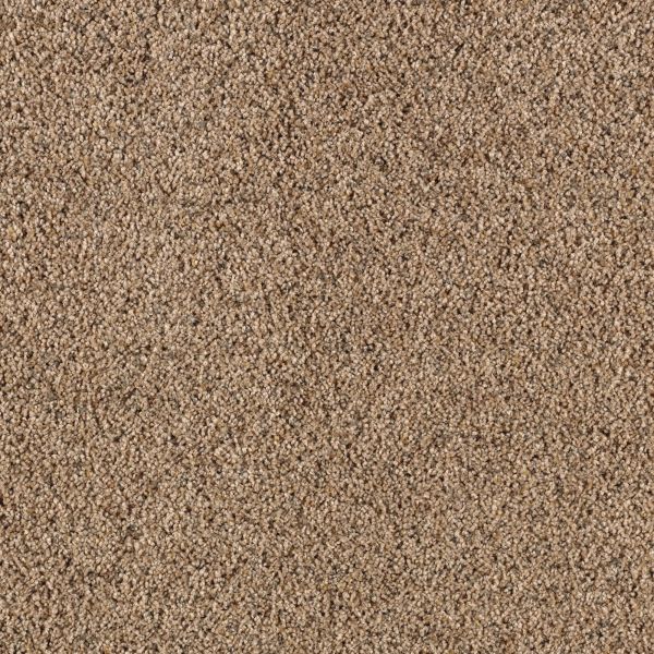 Mohawk Unprecedented Spiced Cider Collection