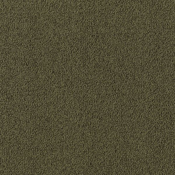 Mohawk Modern Always Olive Branch Collection