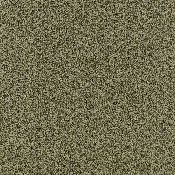 Mohawk Tonal Charm Ivy Border Collection