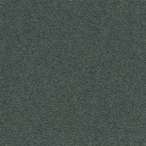 Mohawk Tempting Appeal Dramatic Collection