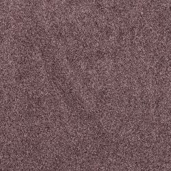 Karastan Smartstrand Vista View I Baccara