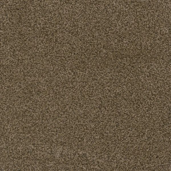DREAM WEAVER HOT PURSUIT BRONZITE Collection