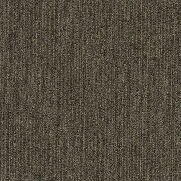 PENTZ COLORPOINT TILE HAZELNUT Collection