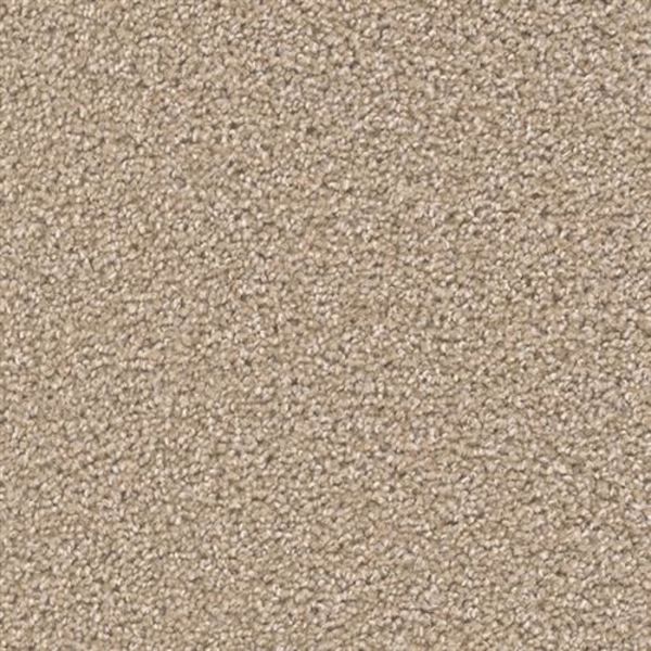 DREAM WEAVER BROADCAST PLUS SAWGRASS Collection