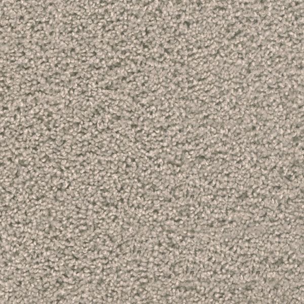 DREAM WEAVER CEDAR CREEK SILVER BIRCH Collection