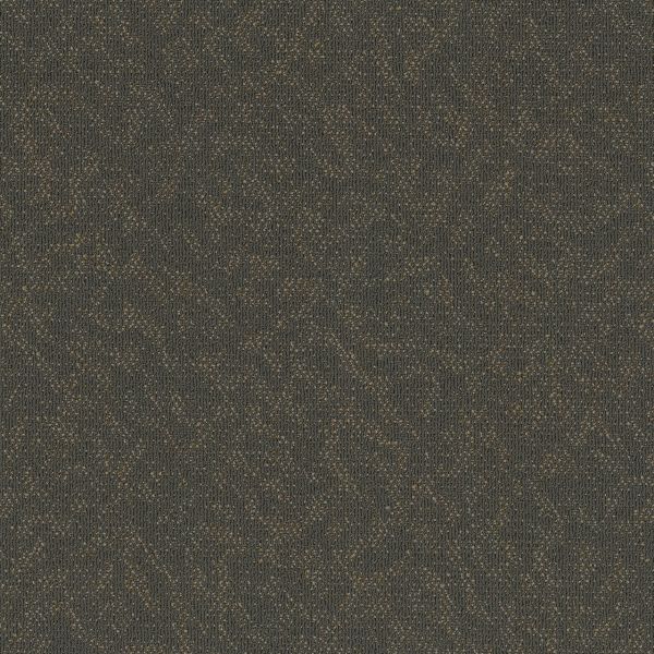 PENTZ ANIMATED EAGER Collection