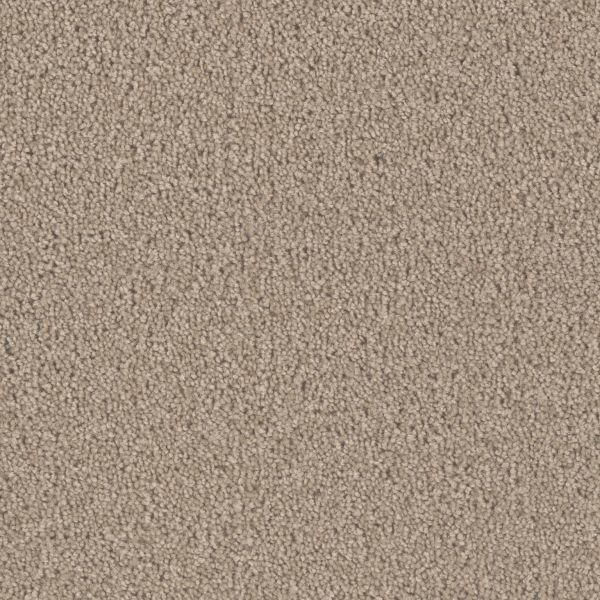 DREAM WEAVER BROADCAST PLUS ASH Collection