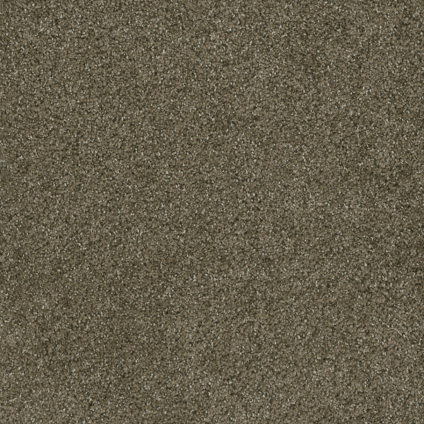 DREAM WEAVER BRAZEN I BRANDYWINE Collection