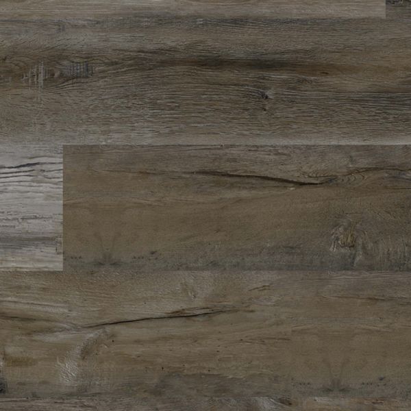 REPUBLIC CLOVER CREEK TIGER BEIGE Collection