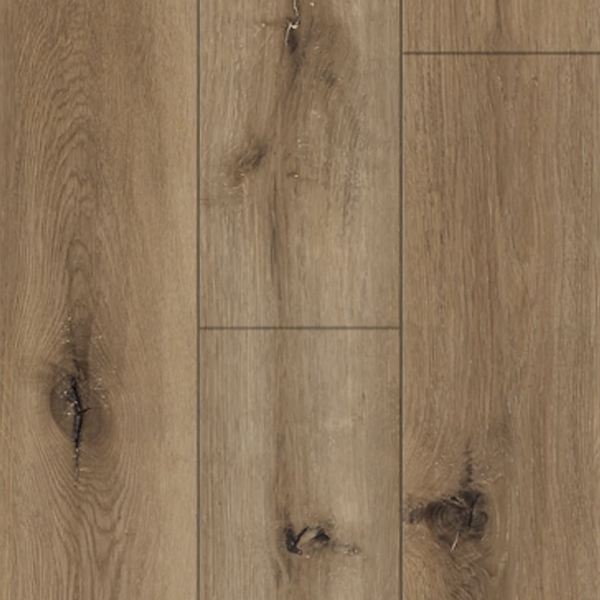 REPUBLIC THE MEADOWS DESERT BLEND Collection