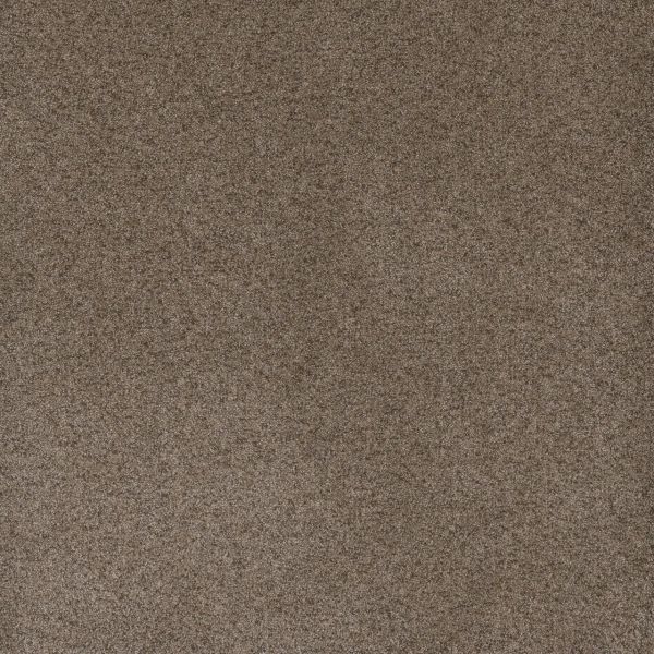 DREAM WEAVER SERENE III SHELLBARK Collection