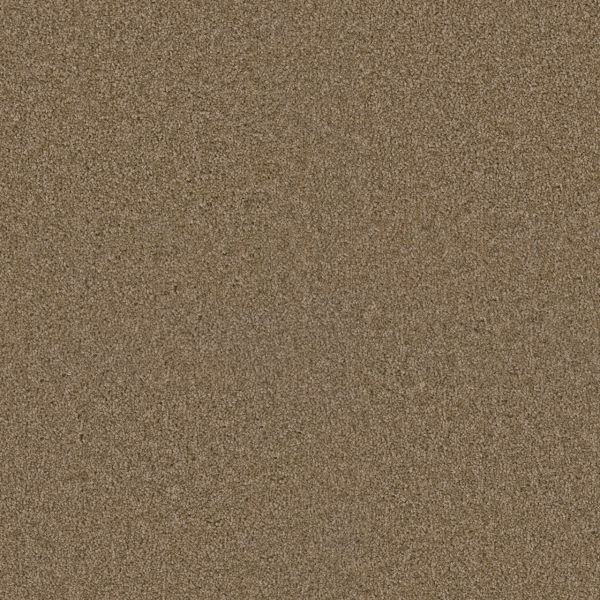 DREAM WEAVER EXCEPTIONAL II BUFF Collection