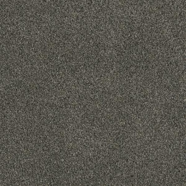DREAM WEAVER LUXOR I MIDNIGHT SHADOW Collection