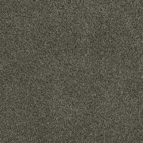 DREAM WEAVER LUXOR III MIDNIGHT SHADOW Collection