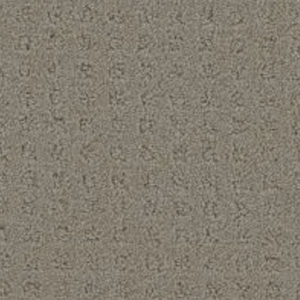 PHENIX DEBUT PRESENTATION Collection