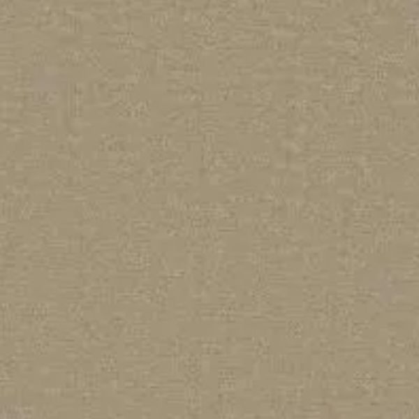 PHENIX GLAM STYLISH Collection