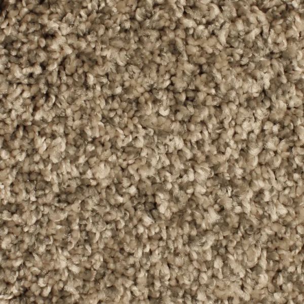 PHENIX PARADIGM COASTAL FOG Collection