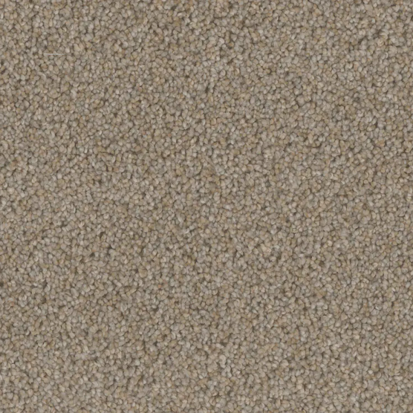 PHENIX TWEED WOOL Collection