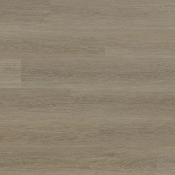 REWARD GEMCORE CARDINAL RODEEN Collection