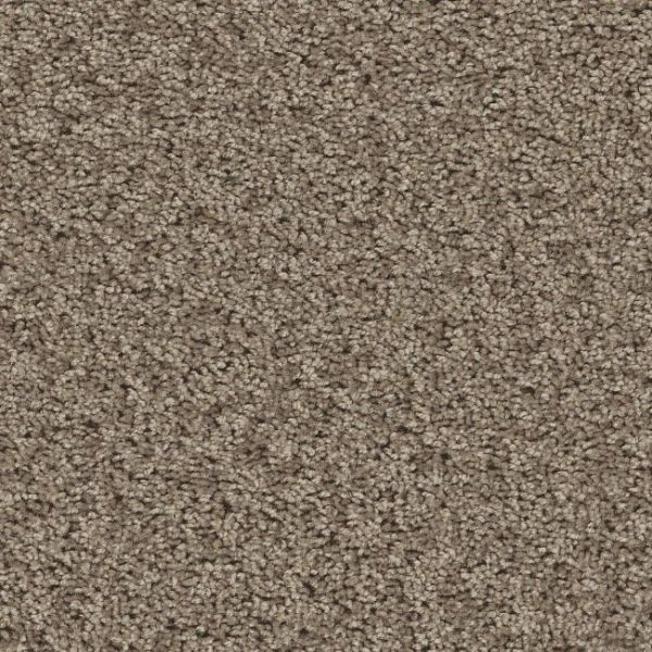 SHAW CONTENDER - SOLID WILD TRUFFLE Collection