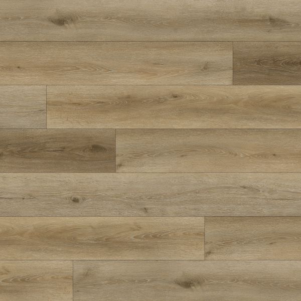 PARADIGM TRUFFLE Collection