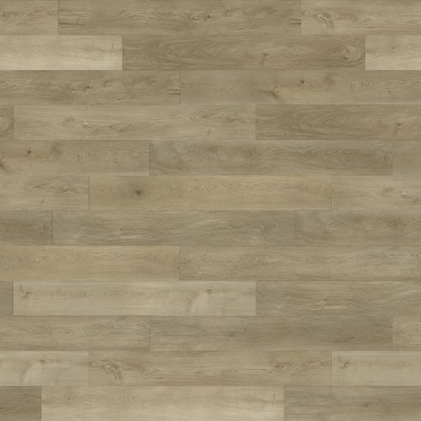 PARADIGM CONQUEST JOUST Collection