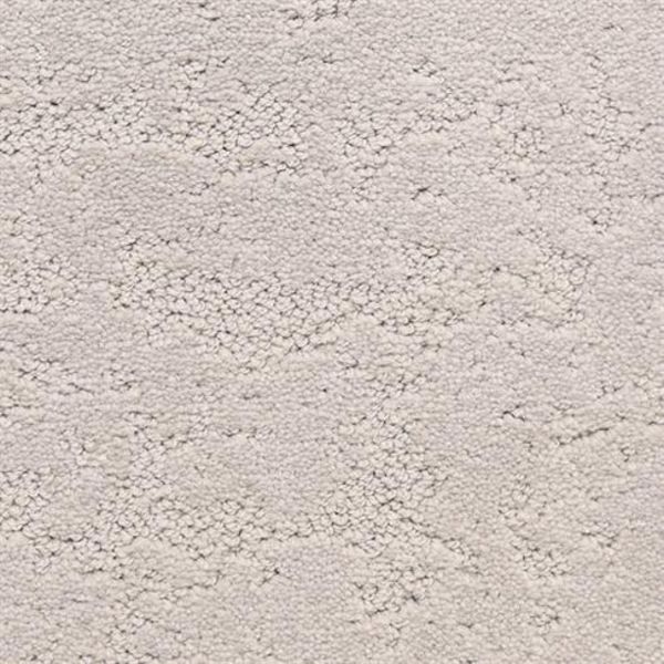 DIXIE CLASSIC DEMEANOR PLASTER Collection