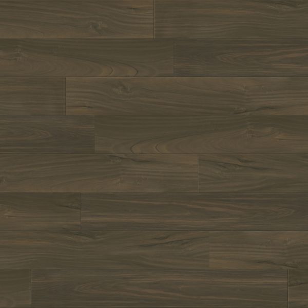 PARADIGM PERFORMER PLUS DOVE Collection