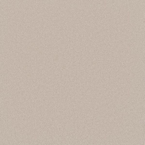 PHENIX CANVAS I POPLIN Collection