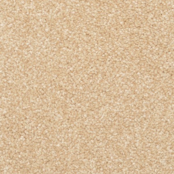PHENIX CASHMERE SUEDE Collection