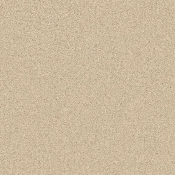 DIXIE CLASSIC DEMEANOR PLASTER Collection