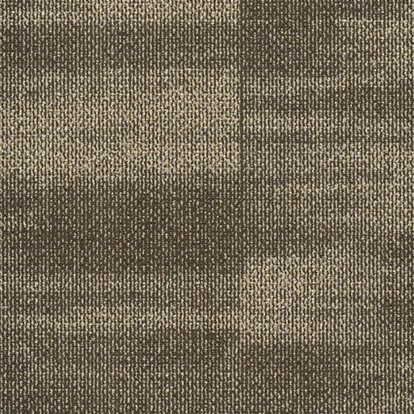 PENTZ BLOCKADE ZONE Collection
