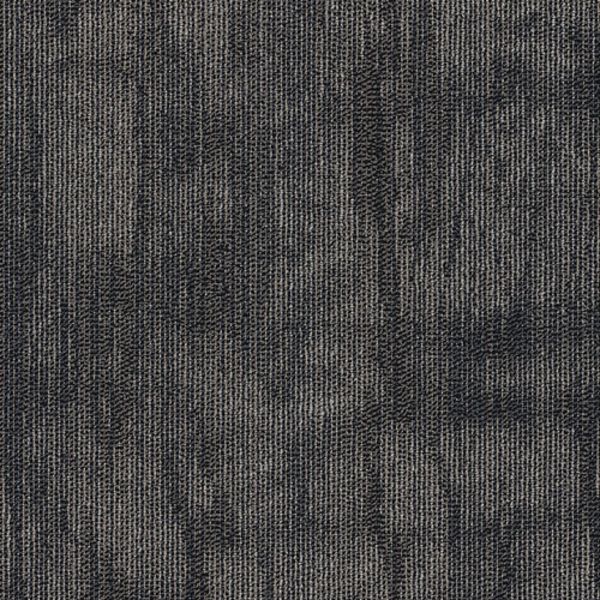 PHENIX IMPRESSION CARVE Collection