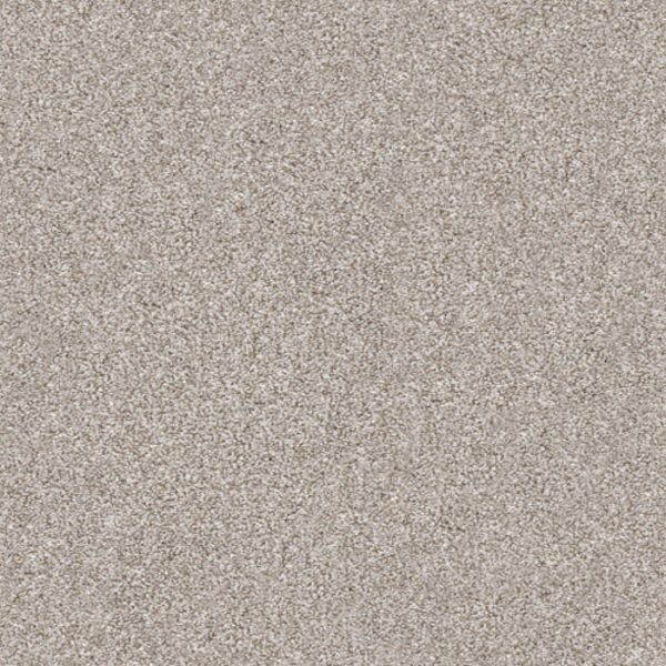 SHAW SOLID CHOICE WINTER DUNES Collection
