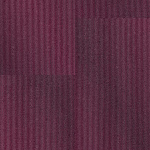 PENTZ ANIMATED VIBRANT Collection