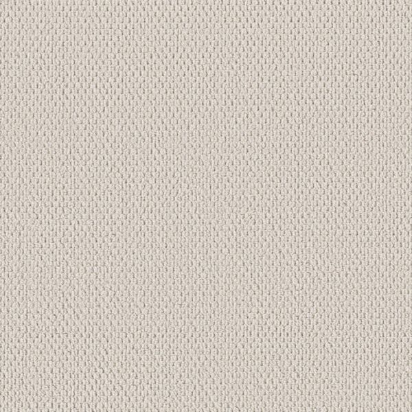 SHAW FLOORS PERSPECTIVE PATH SWAN WHITE Collection