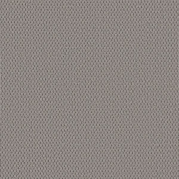 SHAW FLOORS PERSPECTIVE PATH IMAGINATION Collection