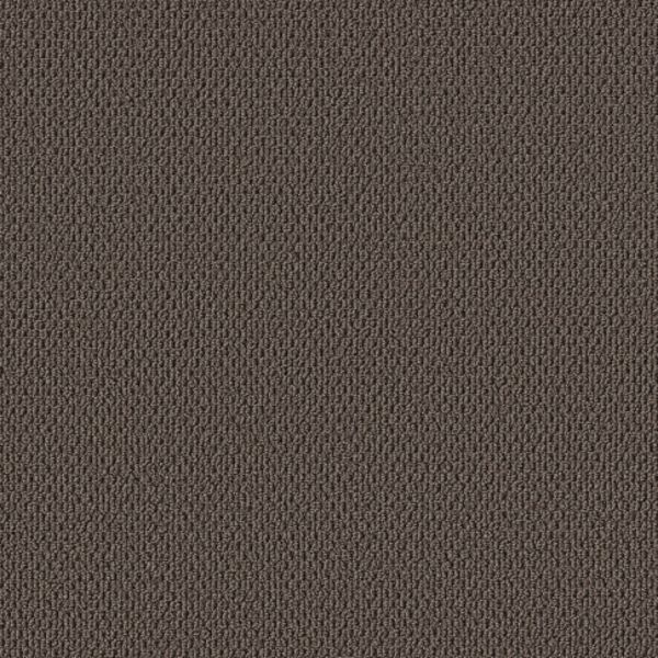 SHAW FLOORS PERSPECTIVE PATH BLACK WALNUT Collection