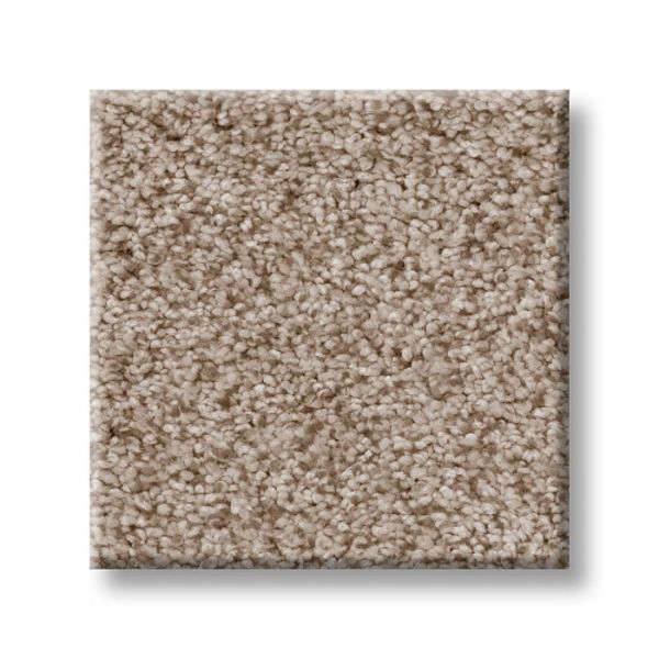 TUFTEX SUMPTUOUS I TOASTED GRAIN Collection
