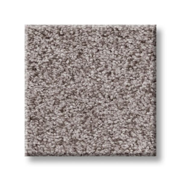 TUFTEX SUMPTUOUS I RUSTIC GRAY Collection