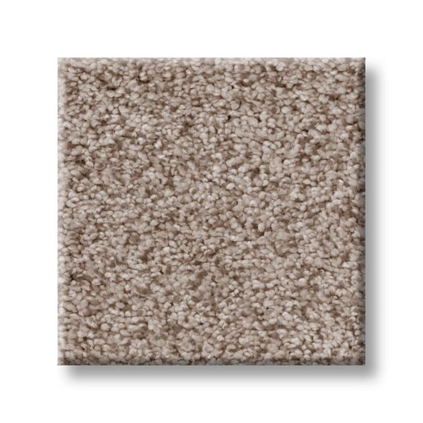 TUFTEX SUMPTUOUS I EARTHEN Collection
