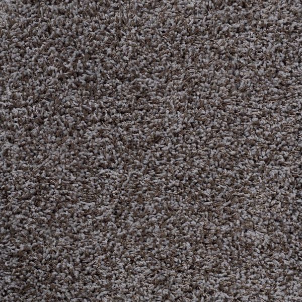 Lifetime HARMONY METALLIC Collection