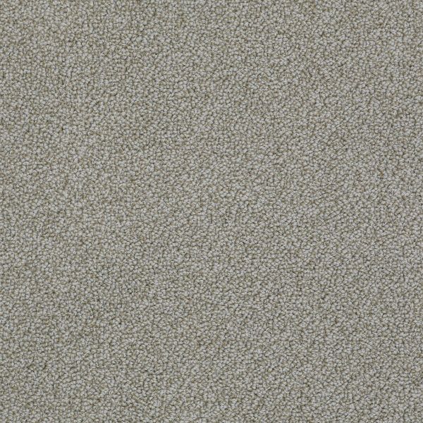 SHAW CONTENDER - SOLID GRAYSTONE Collection