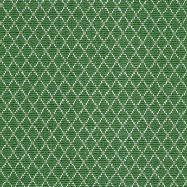 Ardmore Evergreen