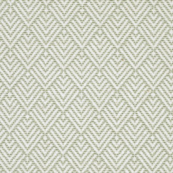 Palmetto Green
